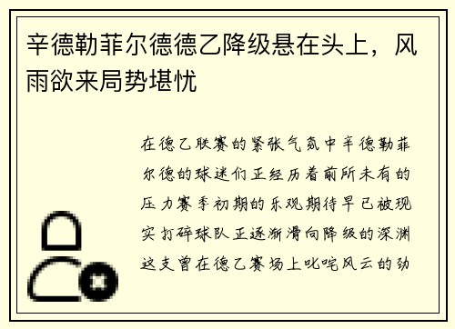 辛德勒菲尔德德乙降级悬在头上，风雨欲来局势堪忧